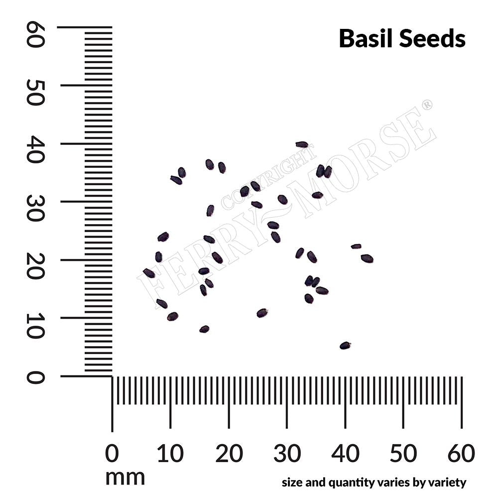 Basil Seed Spill and Measurement